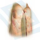 Farbe für FLEISCH 50 ml (NORIS)