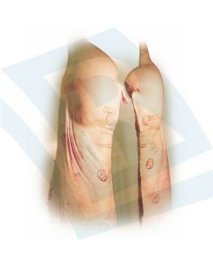Farbe für FLEISCH 50 ml (NORIS)