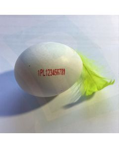 Farbe für EIER 50 ml (COLORIS)